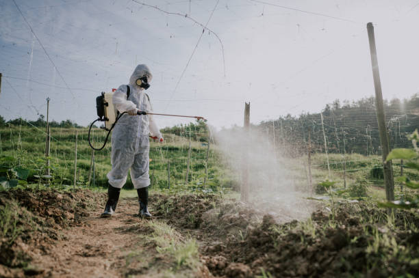 Best Mosquito Control Services  in Little Silver, NJ