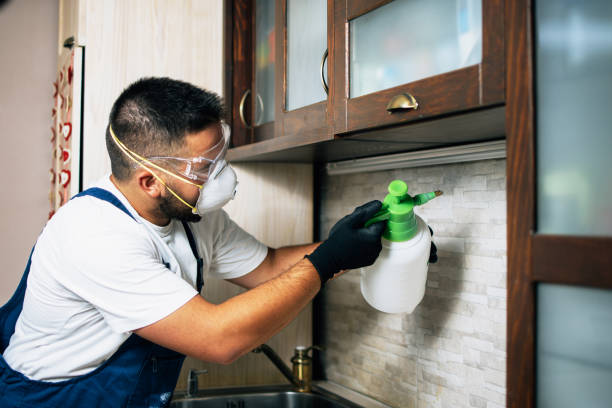 Best Pest Inspection Near Me  in Little Silver, NJ