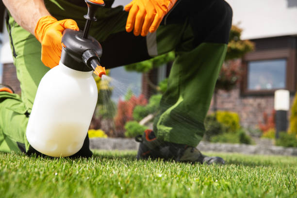 Best Ant Control Services  in Little Silver, NJ