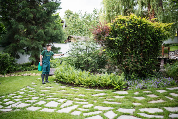 Professional Pest Control in Little Silver, NJ
