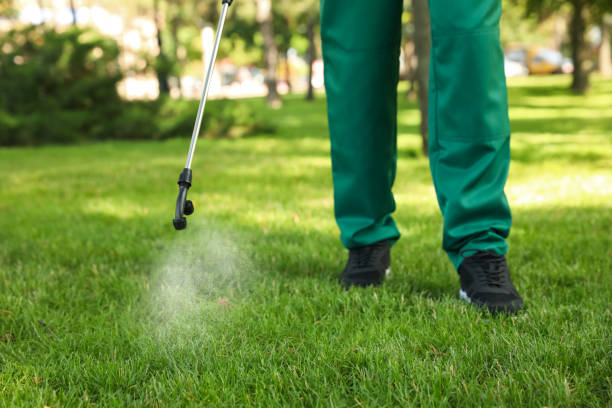  Little Silver, NJ Pest Control Pros