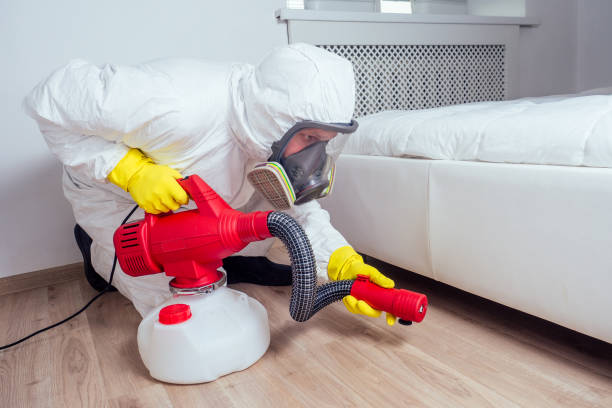 Best Best Pest Control Companies  in Little Silver, NJ