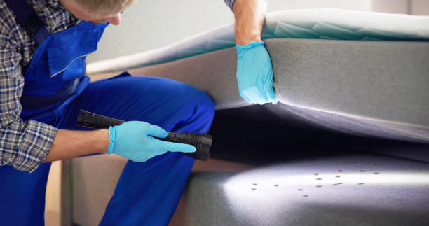 Pest Prevention Services in Little Silver, NJ