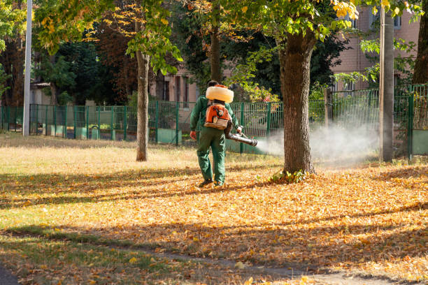 Best Wasp Removal Services  in Little Silver, NJ