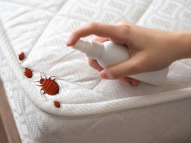 Best Affordable Pest Control Services  in Little Silver, NJ