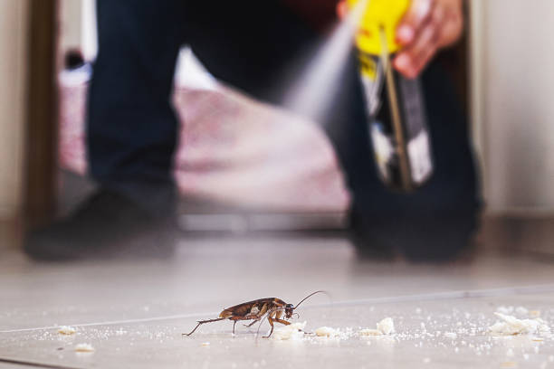 Best Bed Bug Extermination  in Little Silver, NJ