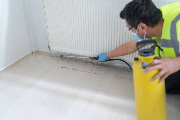 Best Pest Prevention Services  in Little Silver, NJ