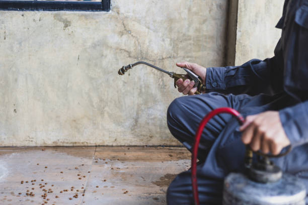 Best Affordable Pest Control Services  in Little Silver, NJ
